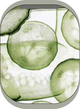 Cucumber Fruit Extract