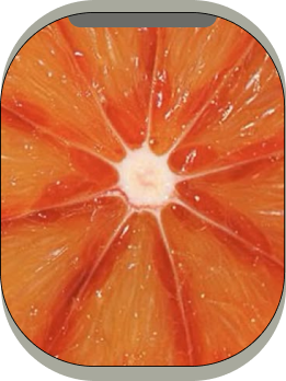 Citric Acid